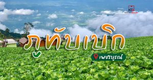 ภูทับเบิก จ.เพชรบูรณ์