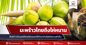 มะพร้าวไทยเดินทางมาถึงไห่หนานแล้ว